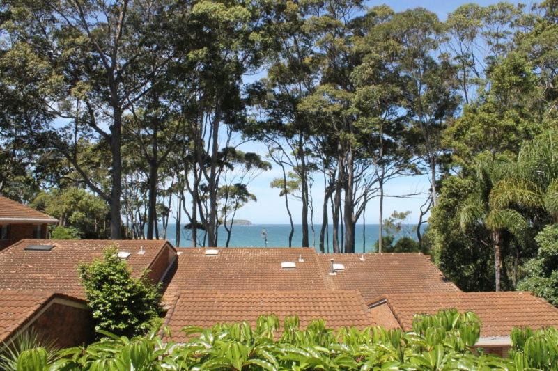 Photo of Others in Denhams Beach