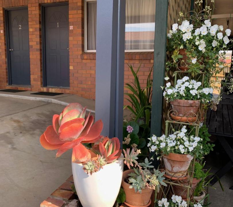 Photo of Others in Tenterfield