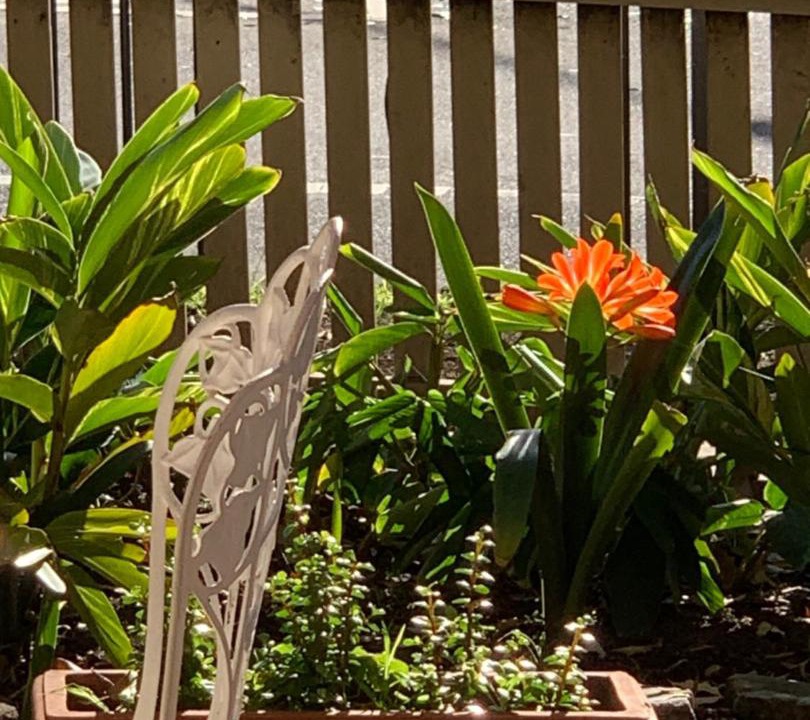 Photo of Others in Burwood