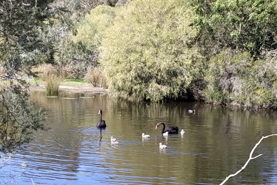 Photo of Others in Gosnells