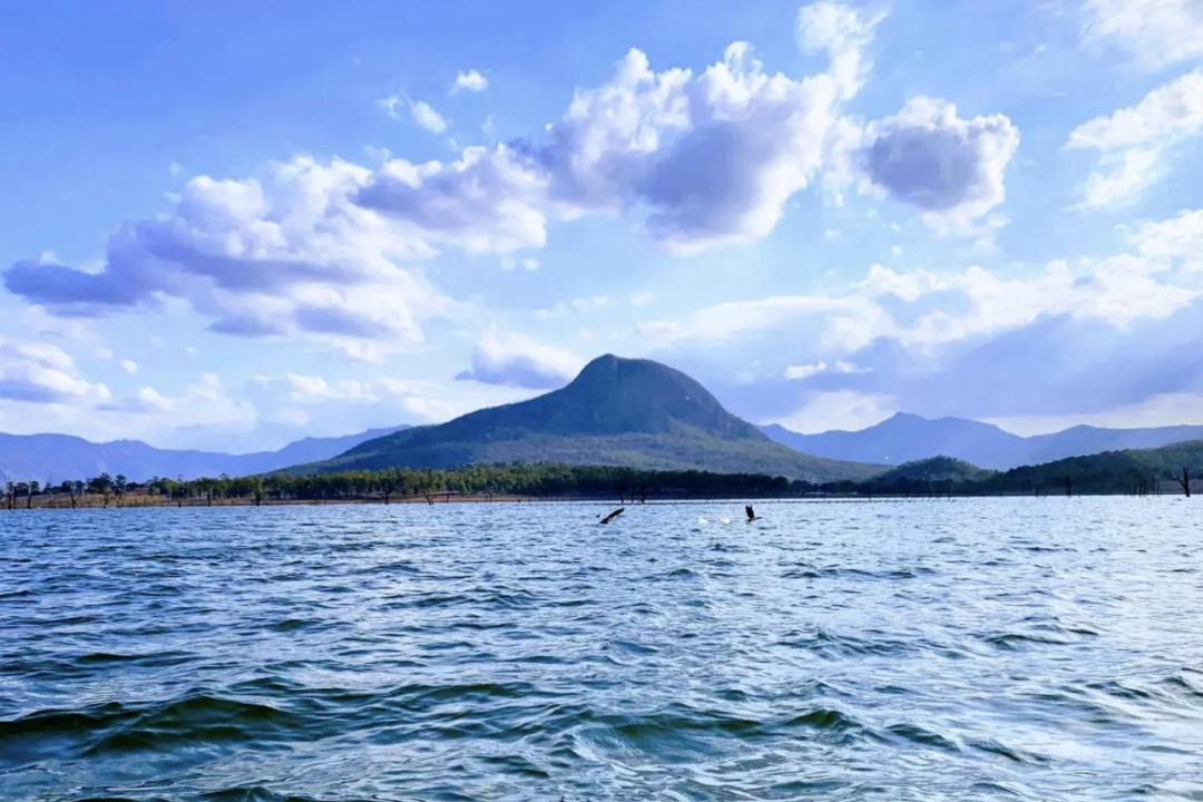 Photo of Others in Moogerah
