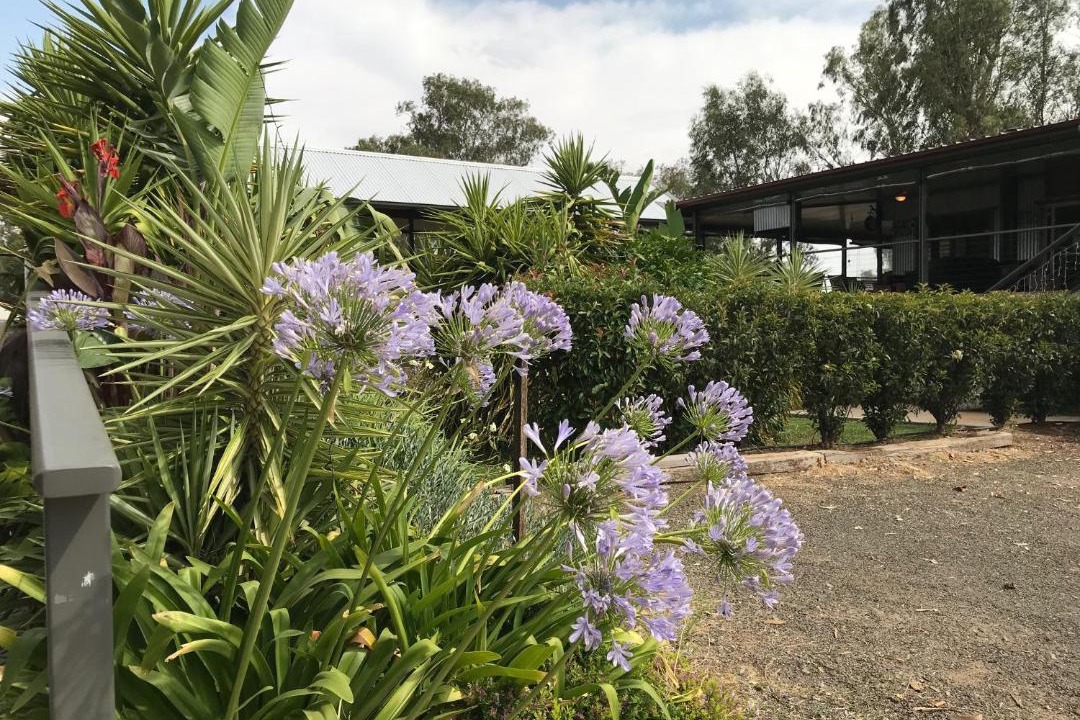 Photo of Others in Tarriaro