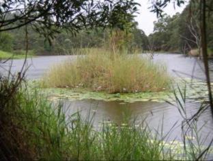 Photo of Others in Ross Creek