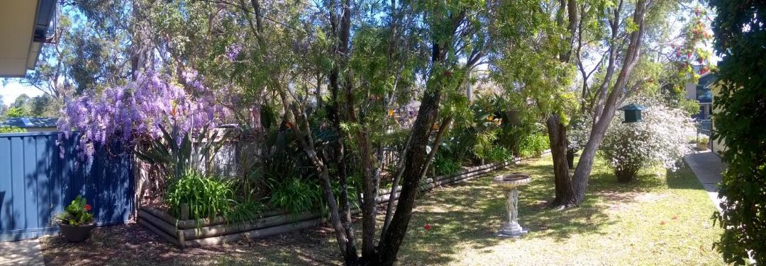 Photo of Outdoor in Callala Bay