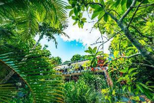 Photo of Others in Bellingen