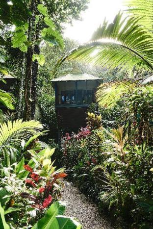 Photo of Others in Lower Daintree