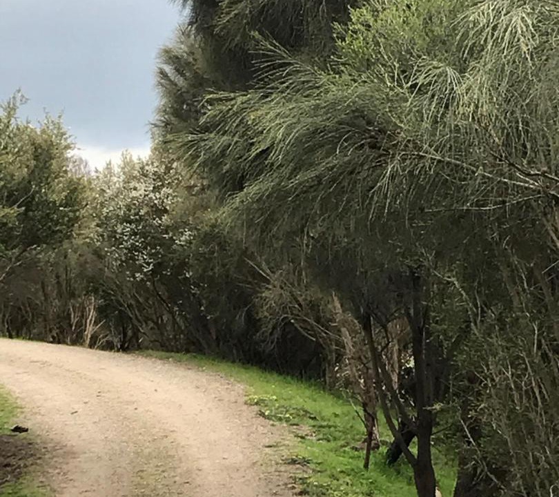 Photo of Outdoor in Fingal