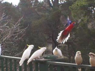 Photo of Others in Hepburn Springs