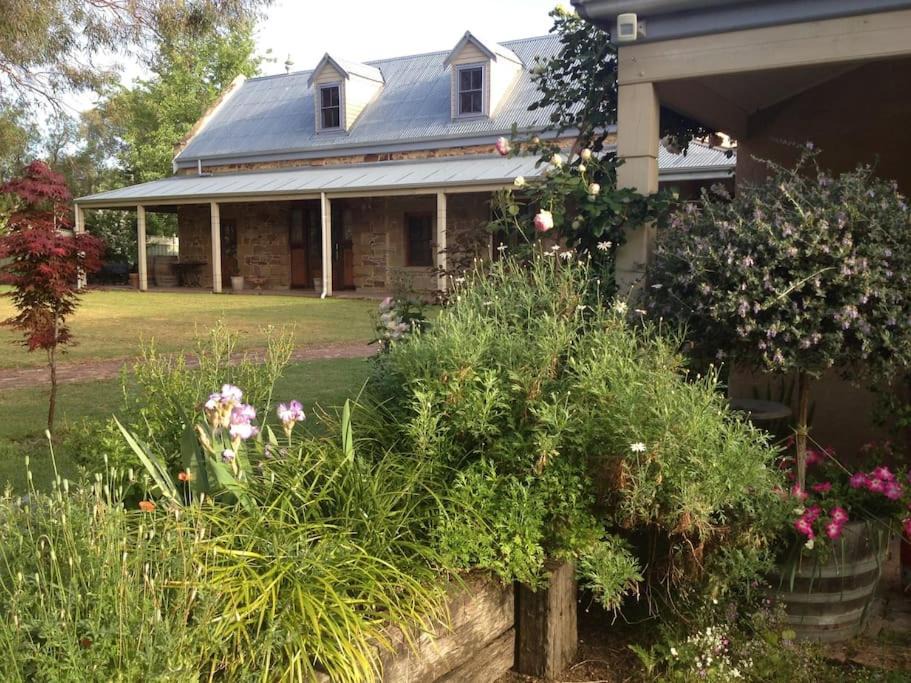 Photo of Buildings in Central Mudgee