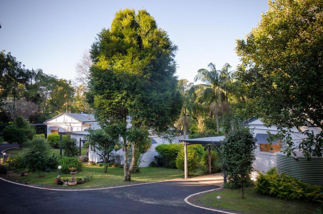 Photo of Others in North Tamborine