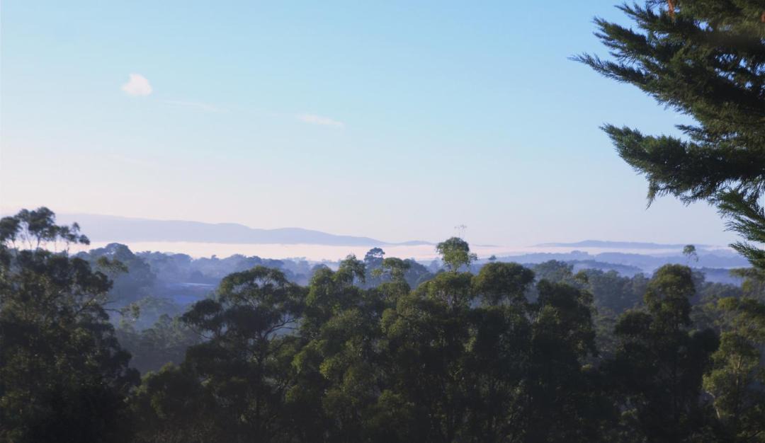 Photo of Others in Monbulk