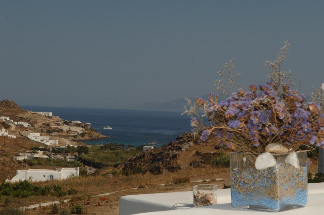 Photo of Others in Platis Gialos