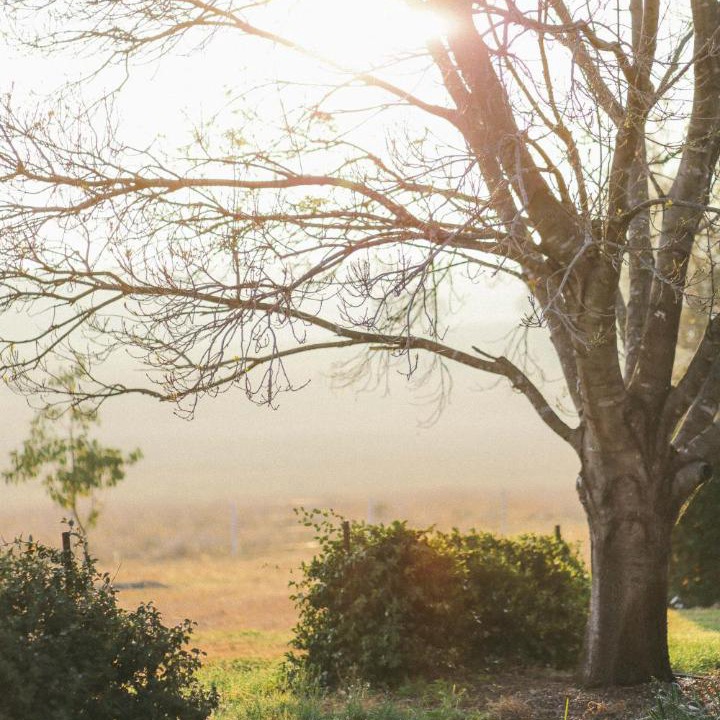 Photo of Outdoor in Scone