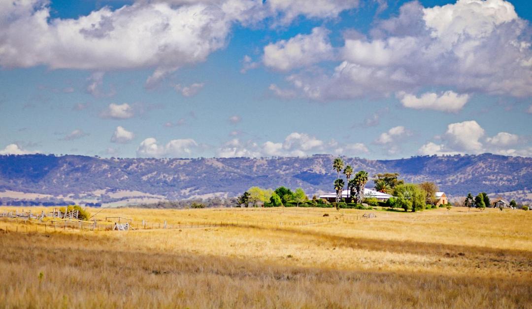 Photo of Outdoor in Scone
