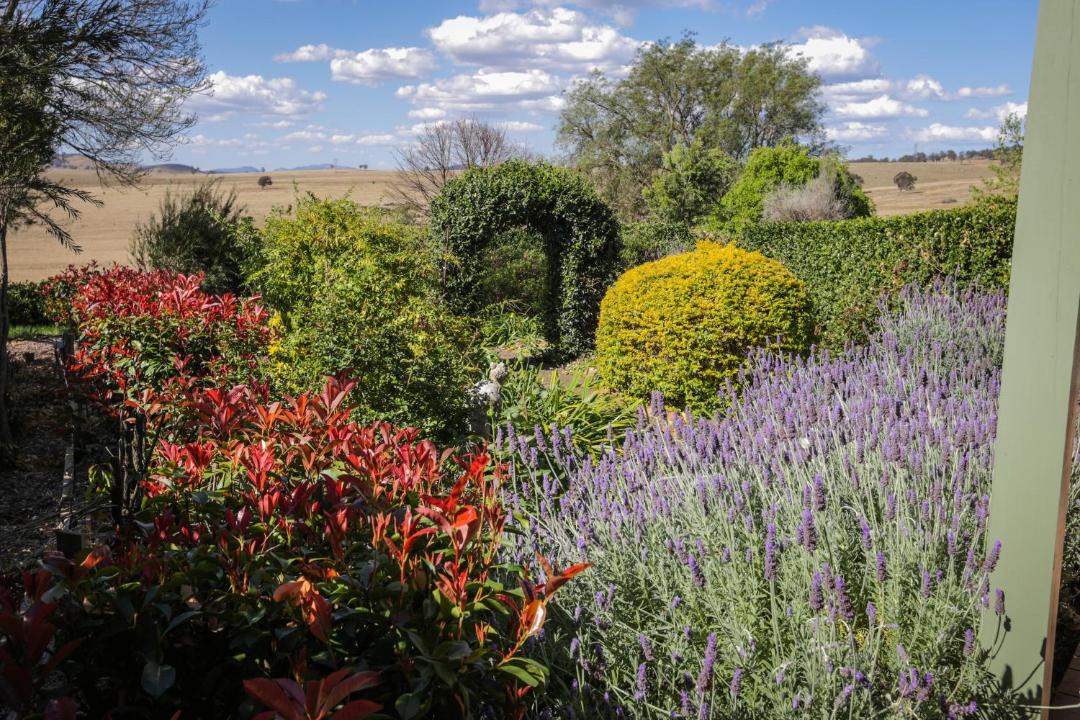 Photo of Outdoor in Scone