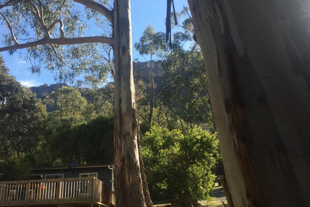 Photo of Others in Halls Gap