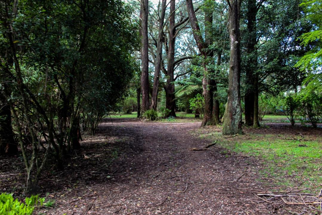 Photo of Others in Mount Tomah