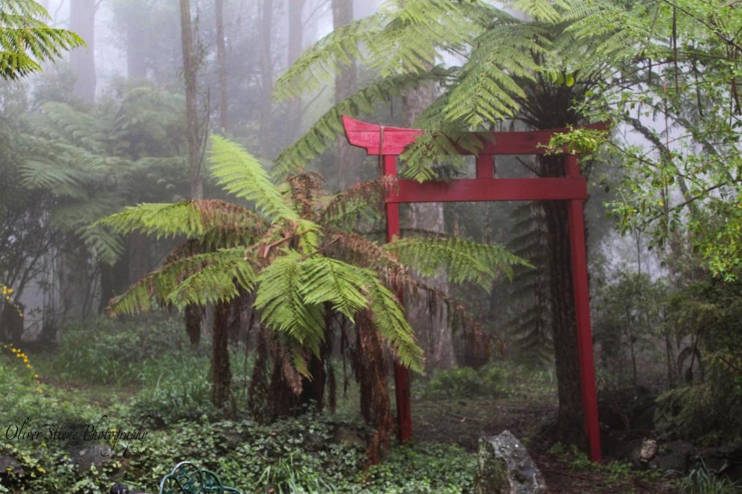 Photo of Others in Mount Tomah