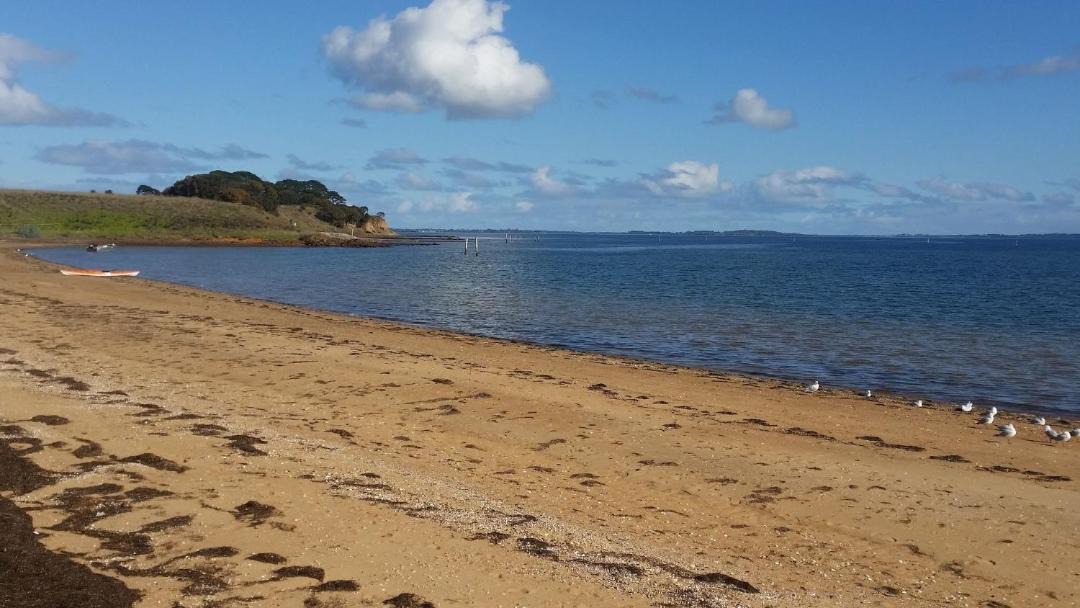 Photo of Others in Coronet Bay