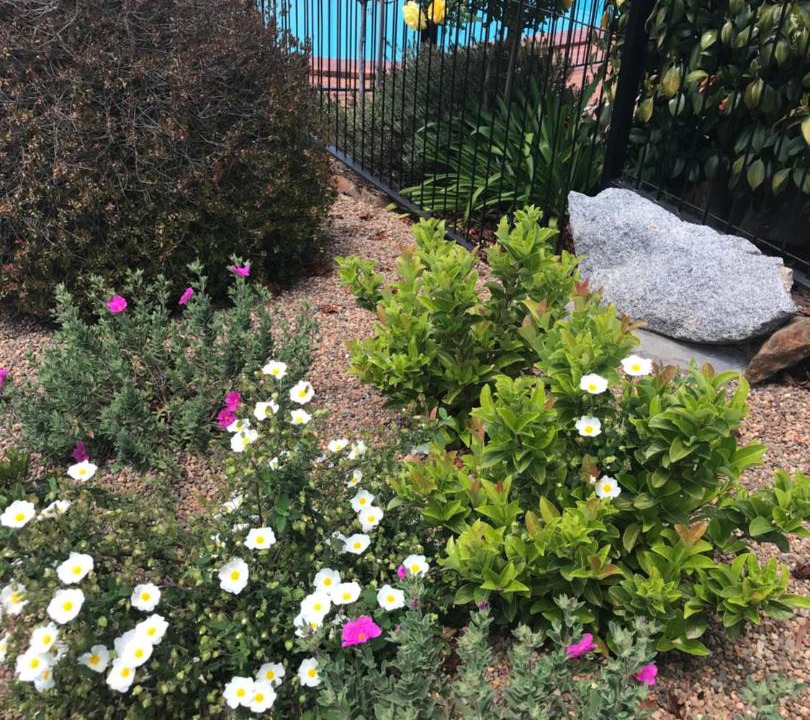 Photo of Outdoor in Armidale