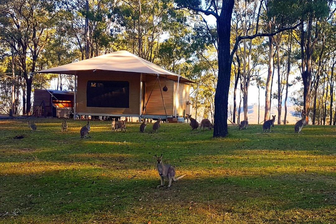 Photo of Others in Scenic Rim Regional