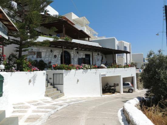 Photo of Others in Platis Gialos