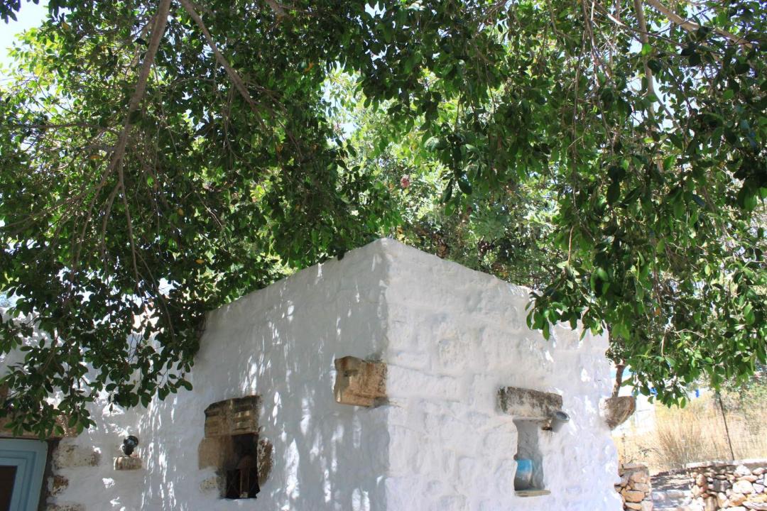 Photo of Others in Alinda