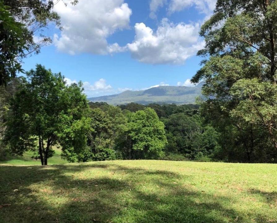 Photo of Others in Mount Burrell