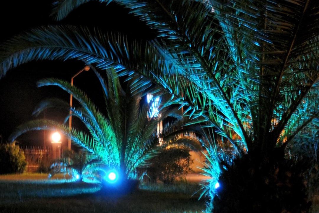 Photo of Others in Skala Kallonis
