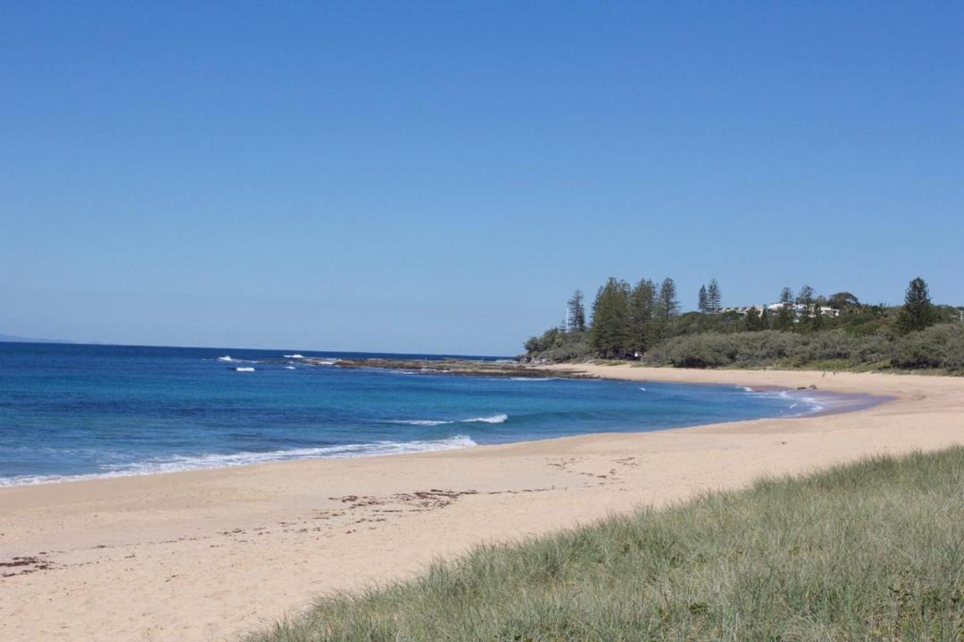 Photo of Others in Shelly Beach