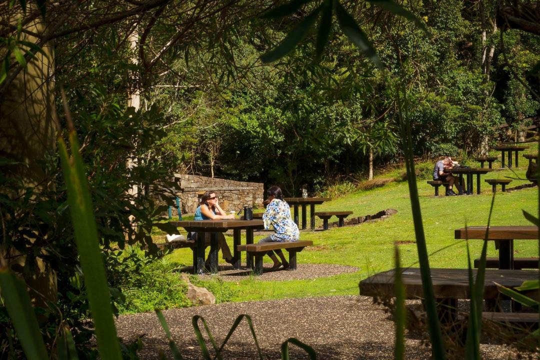 Photo of Others in Binna Burra