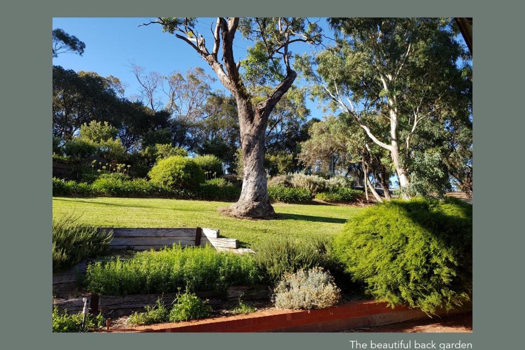 Photo of Others in McLaren Vale