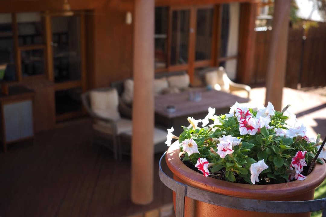 Photo of Patio Balcony in Braitling