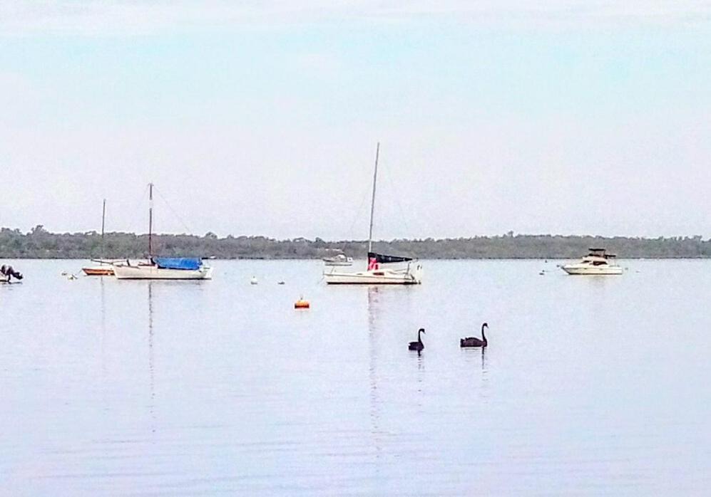 Photo of Others in Dawesville