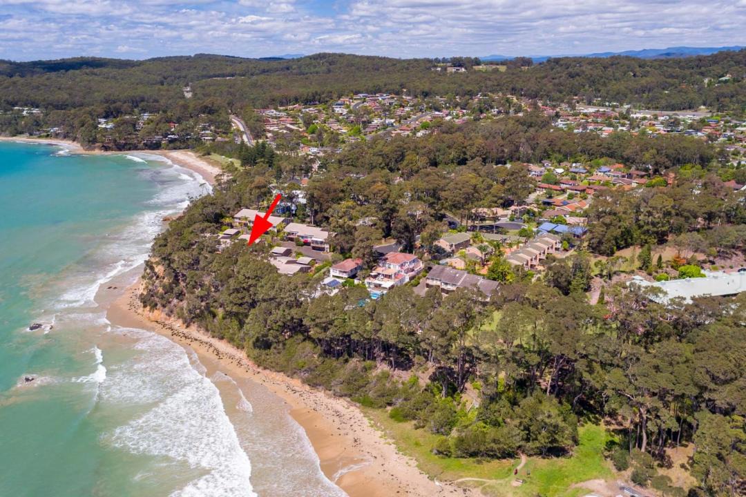 Photo of Outdoor in Denhams Beach