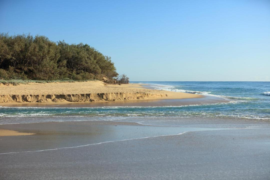 Photo of Others in Currimundi
