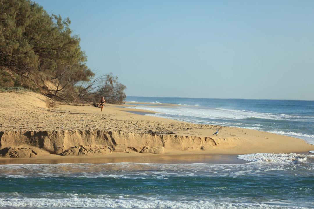 Photo of Others in Currimundi
