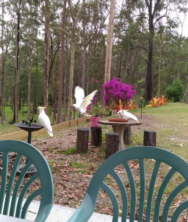 Photo of Outdoor in Springwood