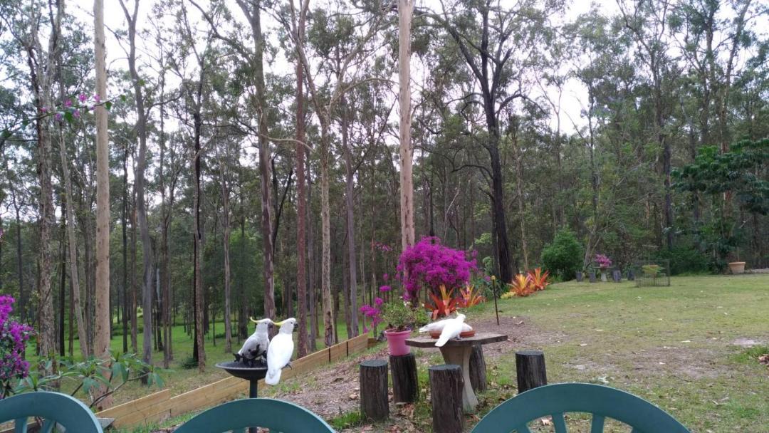 Photo of Others in Springwood