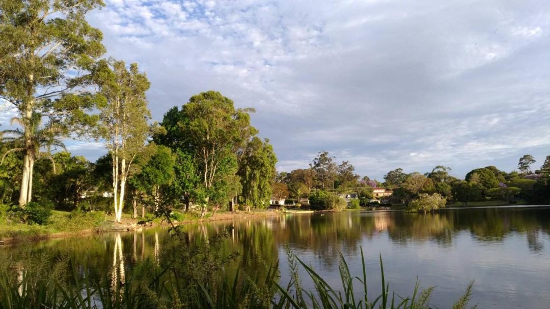 Photo of Others in Springwood