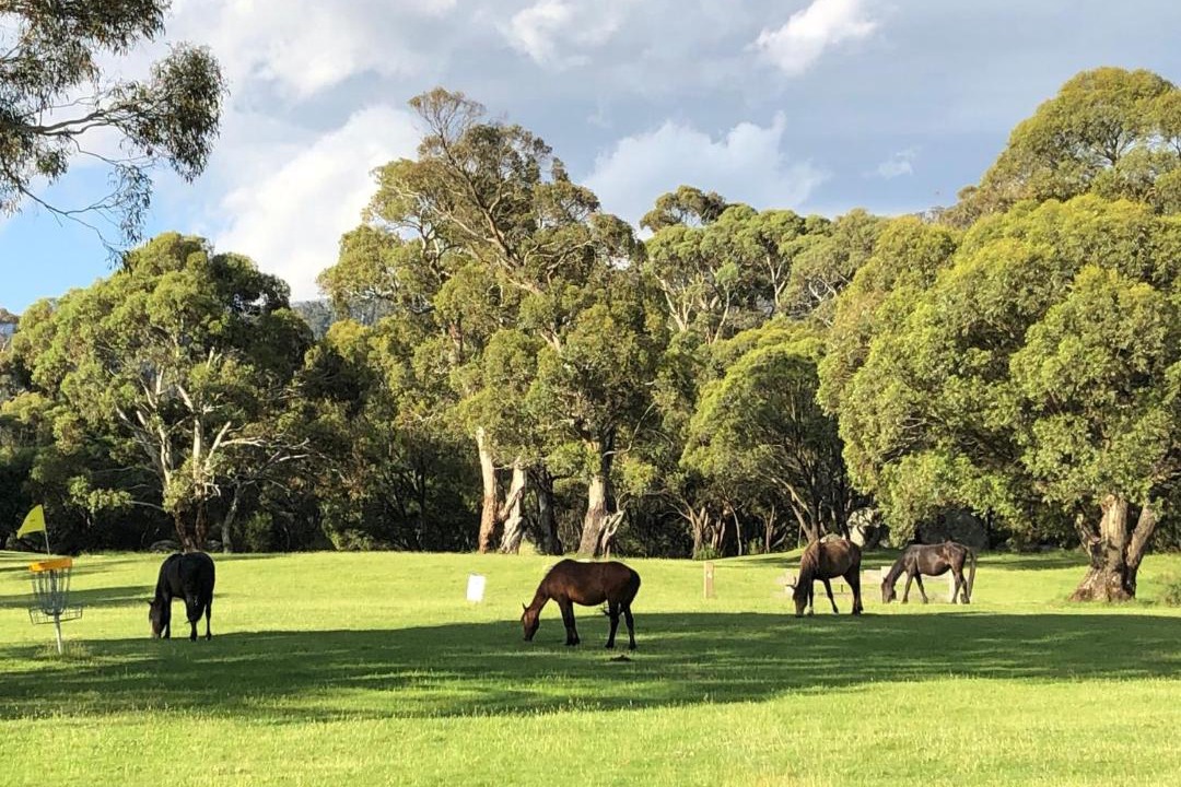 Photo of Others in Crackenback