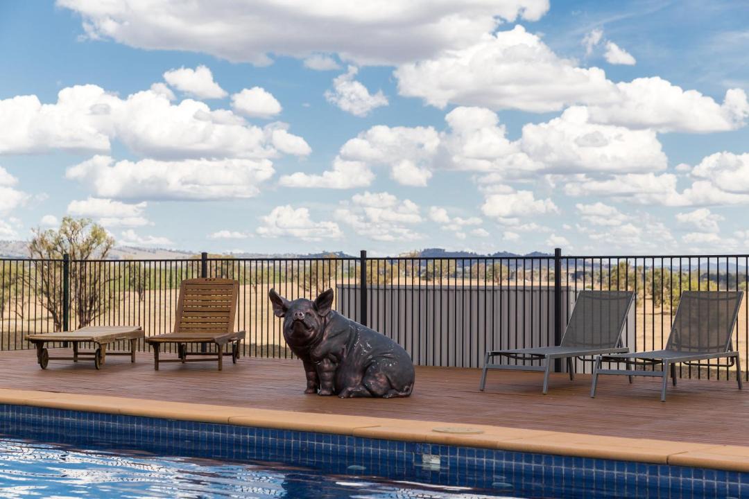 Photo of Outdoor in Gulgong