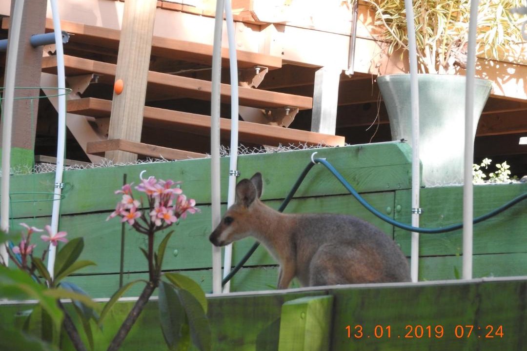 Photo of Others in Tallai