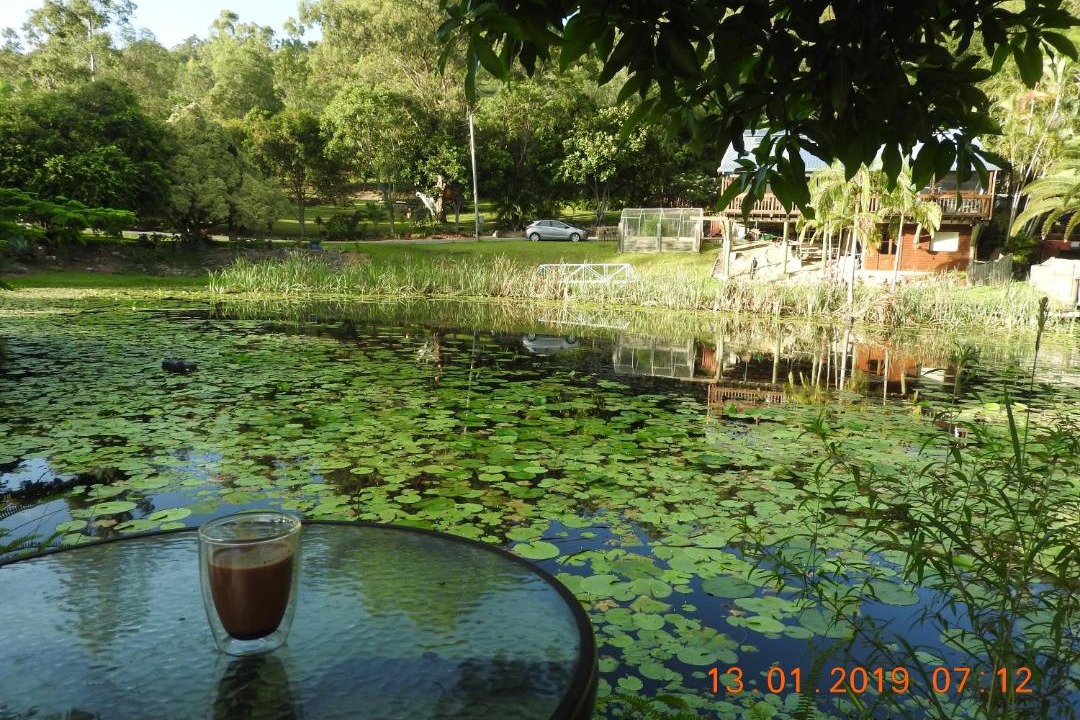 Photo of Others in Tallai