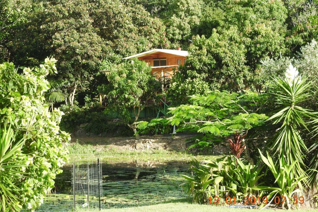 Photo of Outdoor in Tallai