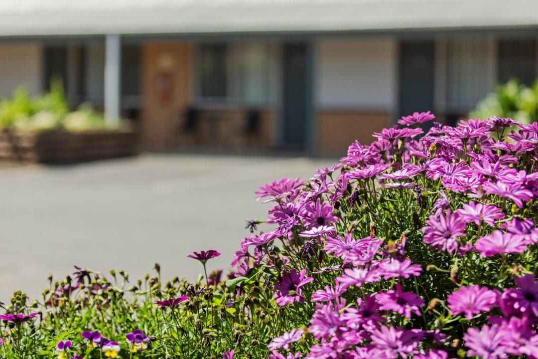 Photo of Others in Maffra