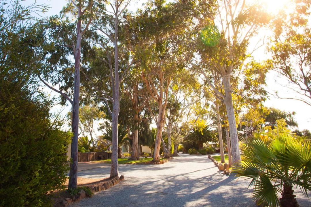 Photo of Outdoor in Tumby Bay