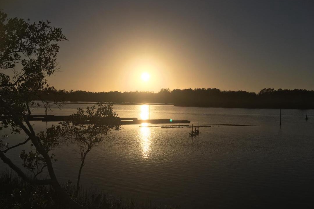 Photo of Others in Nambucca Heads