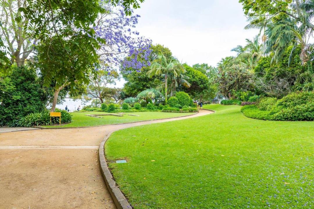 Photo of Others in Darling Point