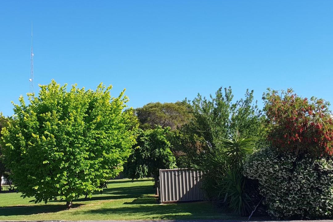 Photo of Others in Kerang